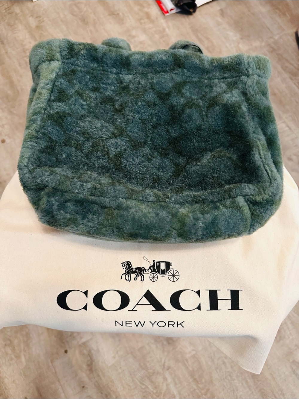 Coach Green Shearling Mini Tote
